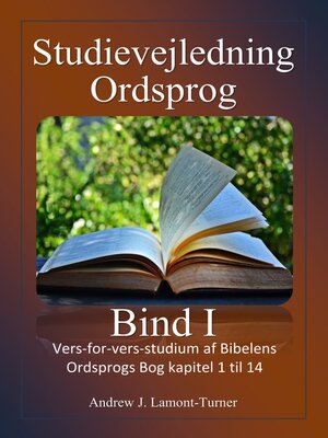 cover image of Studievejledning